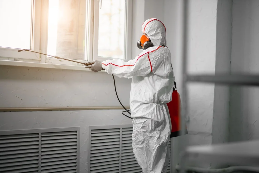 Professional mold remediation services in Saraland, AL